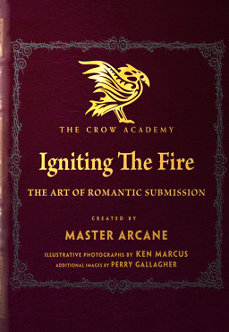 Igniting The Fire | eBook Cover - Image 1